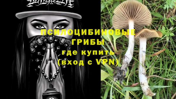 твердый Надым