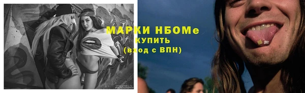 шишки Алексин