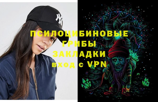 шишки Алексин