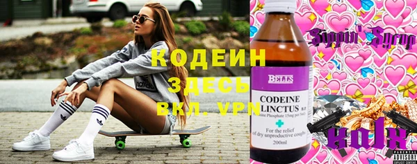 шишки Алексин