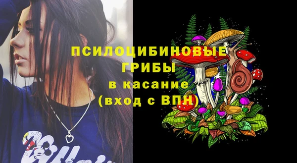 мдпв Абинск