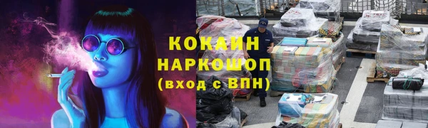 сатива Алзамай