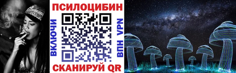 darknet телеграм  mega как зайти  Щучье  Галлюциногенные грибы Psilocybine cubensis 